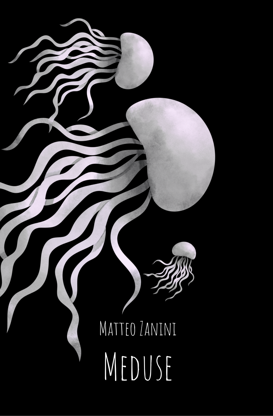 Meduse: il nuovo libro di Matteo Zanini.